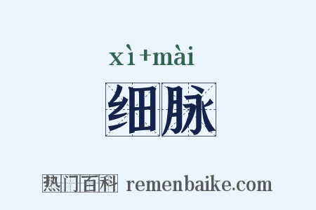 细脉是什么意思的图片